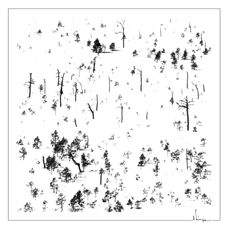фото "rised bog winter graphic arts" метки: разное, 