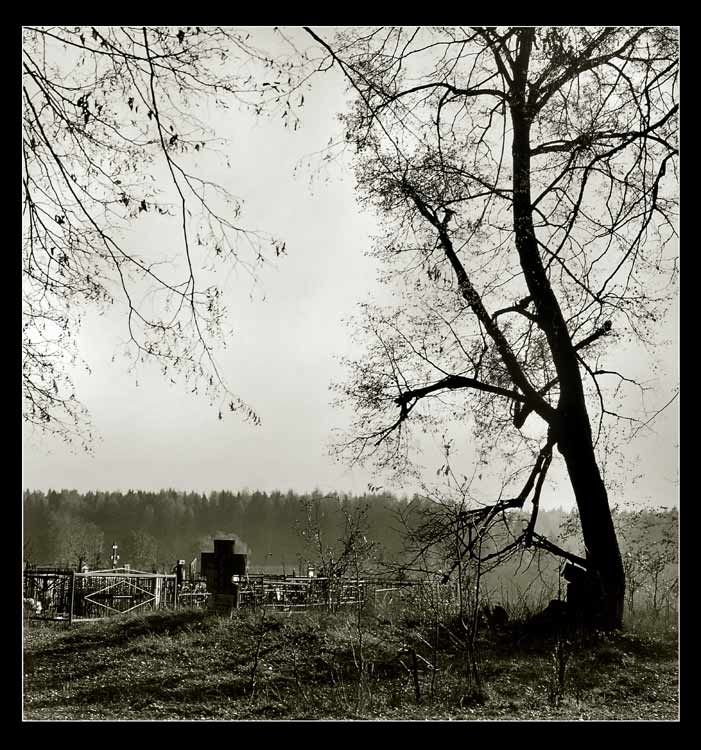 фото "*" метки: жанр, 