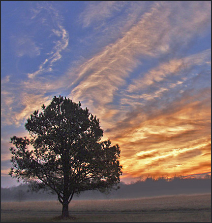 photo "Light Show" tags: landscape, sunset, winter