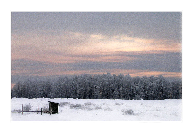 photo "Winter 2004" tags: landscape, forest, winter