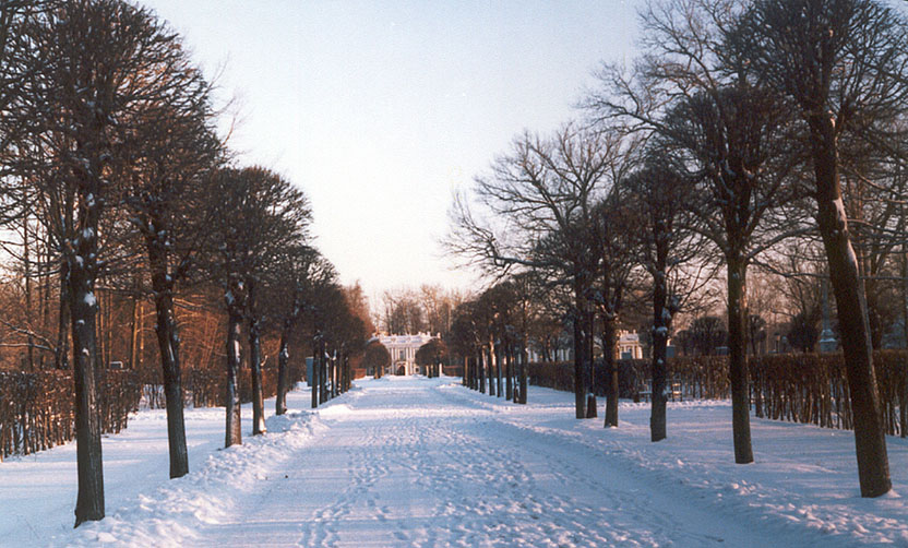 фото "Зимняя дорога" метки: пейзаж, зима, лес
