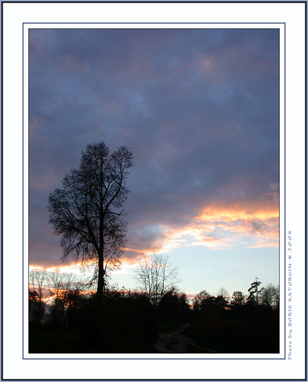 photo "Late autumn" tags: landscape, forest, sunset