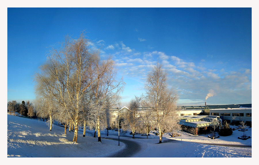 фото "The cold winter" метки: пейзаж, зима