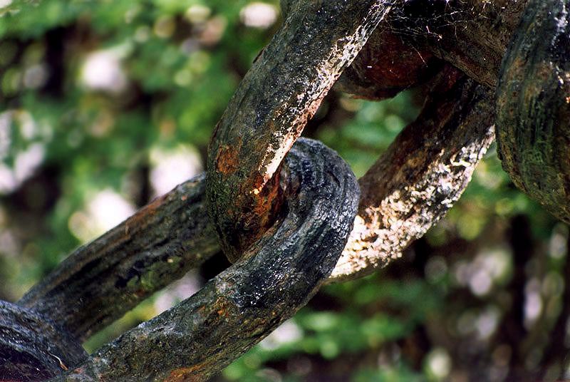 photo "strong linkings" tags: abstract, 