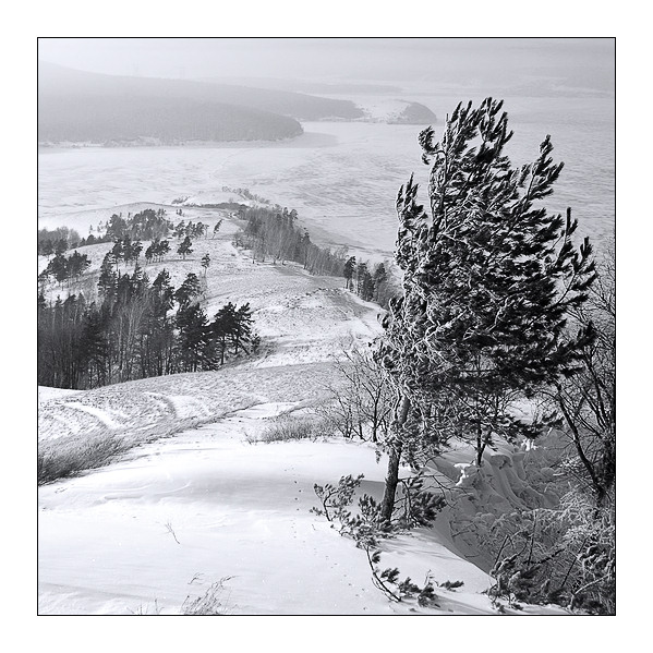 photo "Wind northeast" tags: nature, black&white, 