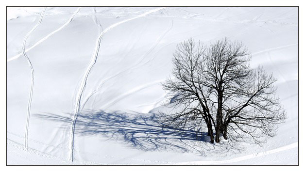 photo "Winter 9950" tags: landscape, winter