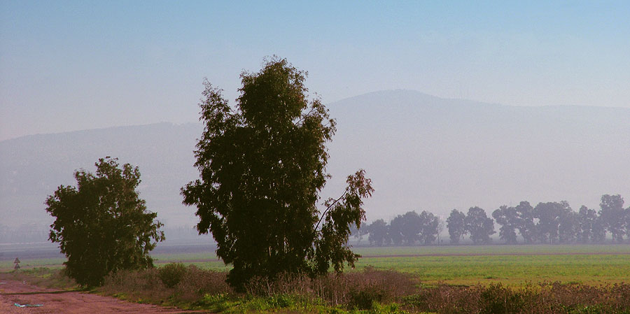 photo "~ A Perfect Morning ~" tags: landscape, mountains