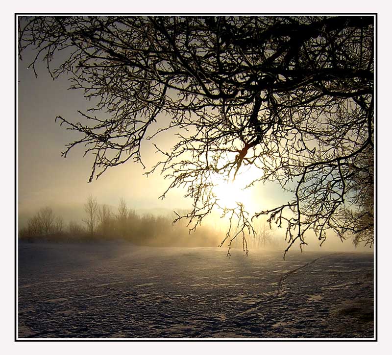 фото "Foggy day" метки: пейзаж, 