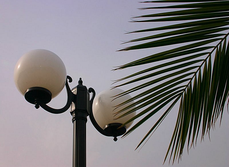 photo "Lamp with palm tree" tags: architecture, landscape, 