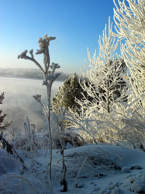 photo "xxxxx" tags: landscape, winter