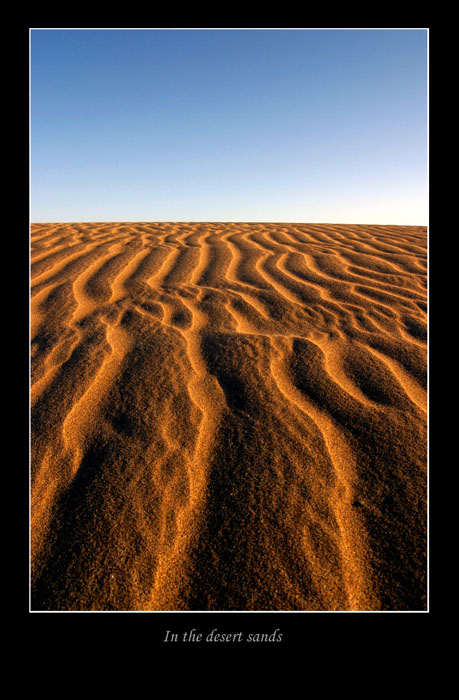 photo "In the desert sands" tags: misc., 