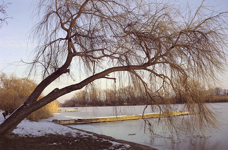 photo "Thin ice" tags: landscape, water, winter