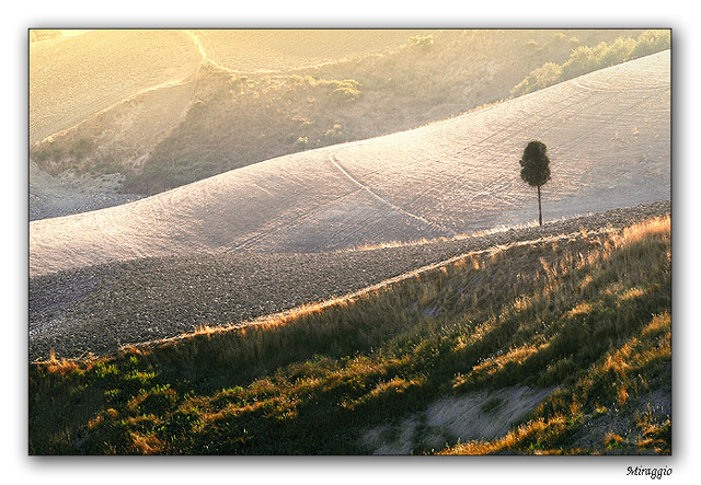 photo "Miraggio" tags: landscape, summer