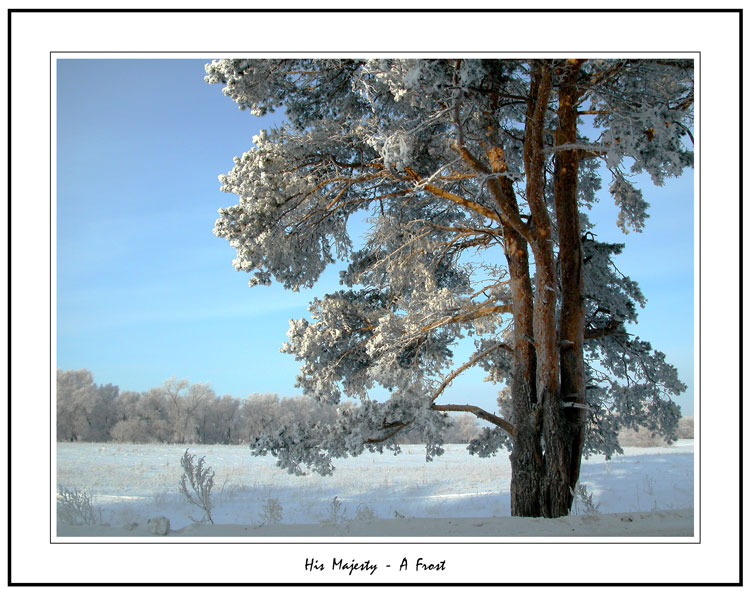 фото "Его Величество - Мороз" метки: разное, пейзаж, зима