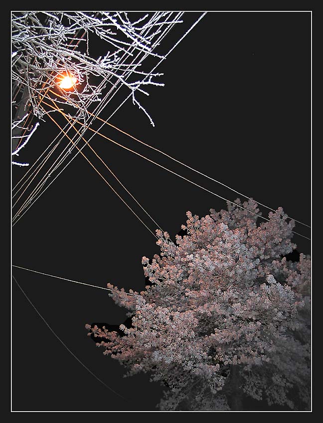 photo "New Year`s walk -2" tags: misc., 