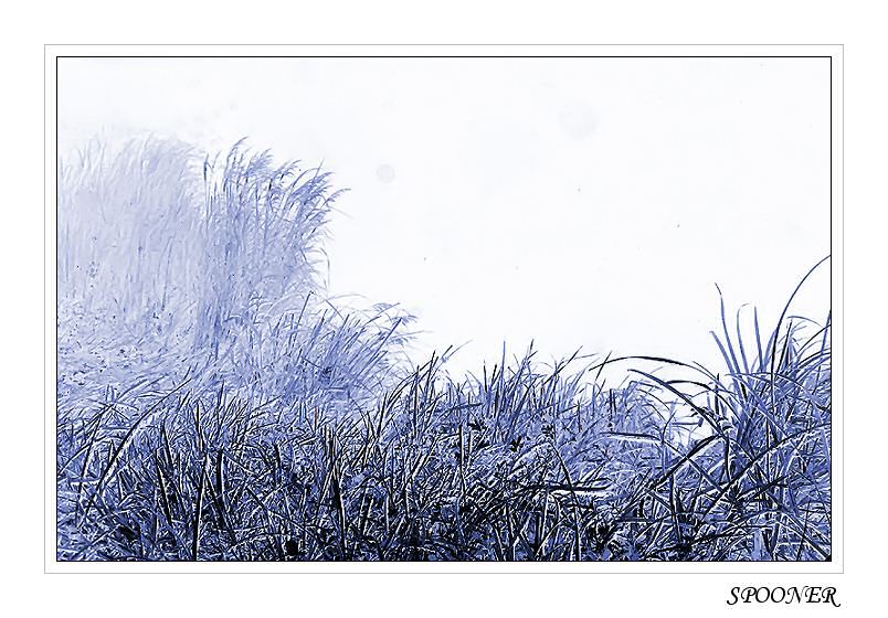 photo "*****" tags: landscape, nature, winter
