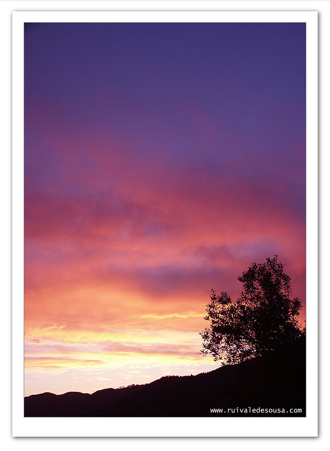 photo "days like this" tags: misc., 