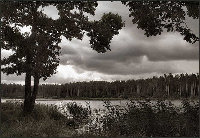 photo "Bad weather." tags: landscape, summer, water