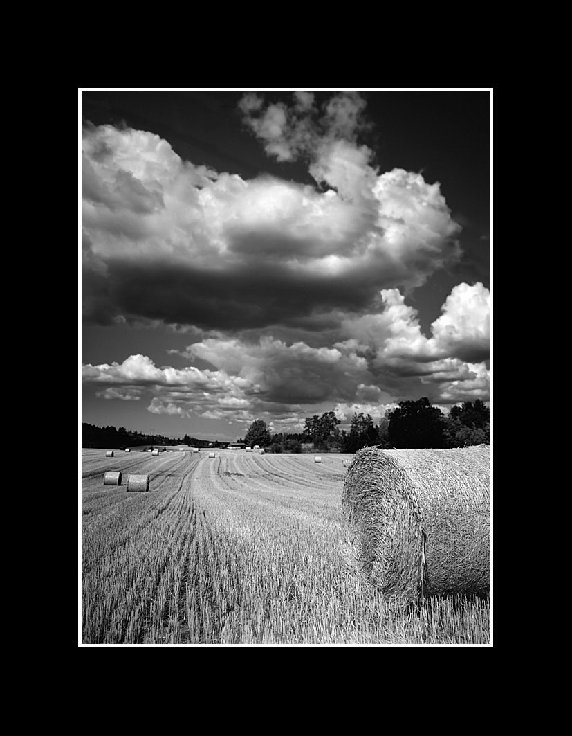 photo "Gamleby2" tags: nature, 