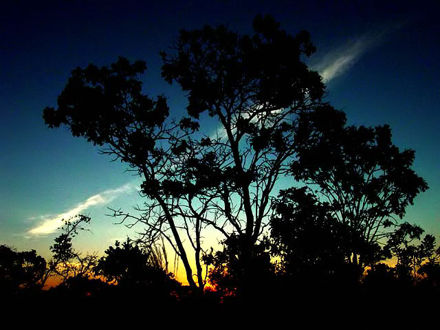 photo "CERRADO STYLE" tags: landscape, sunset