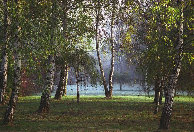 photo "Coloured morning" tags: misc., landscape, autumn