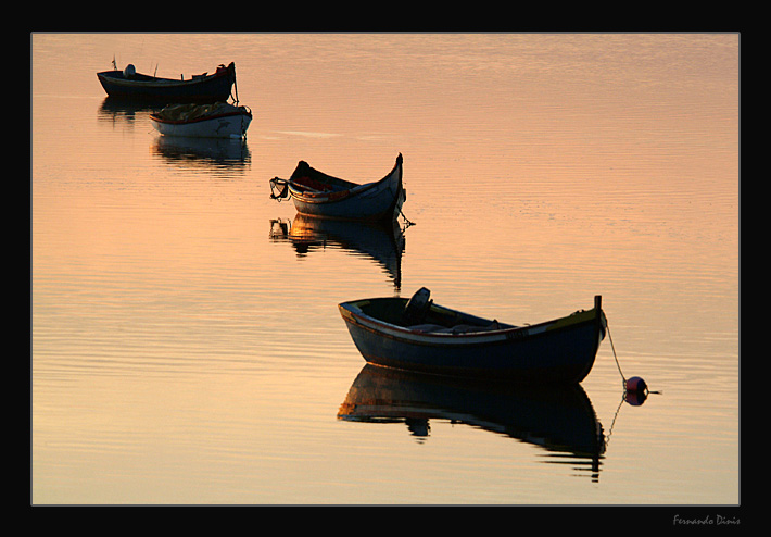 фото "Familiar rest" метки: разное, 