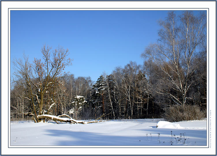 фото "Зима-2004. Этюд1" метки: пейзаж, зима, лес