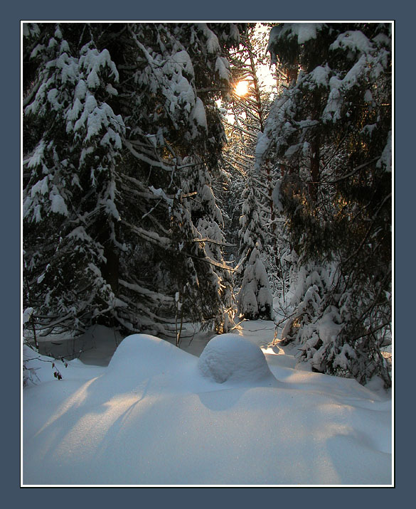 photo "Winter fairy tale" tags: landscape, forest, winter