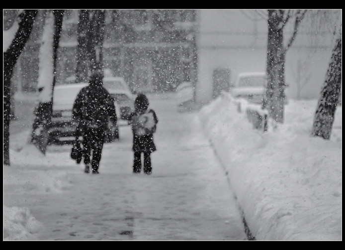 photo "Snowfall" tags: genre, black&white, 