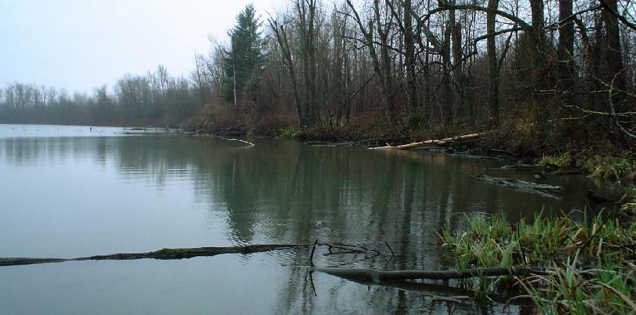 photo "Lake in winter..." tags: landscape, water