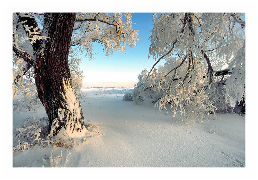 photo "February motives" tags: landscape, winter