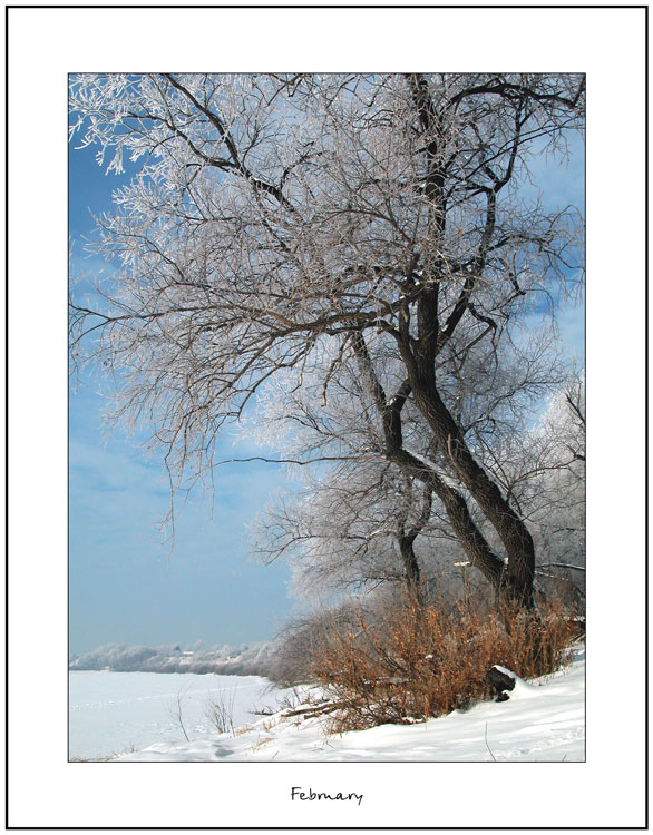 photo "February" tags: misc., landscape, winter