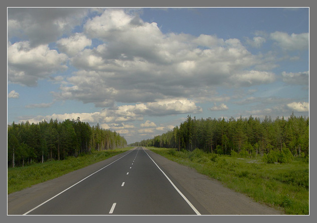 фото "Мурманское шоссе" метки: пейзаж, лес