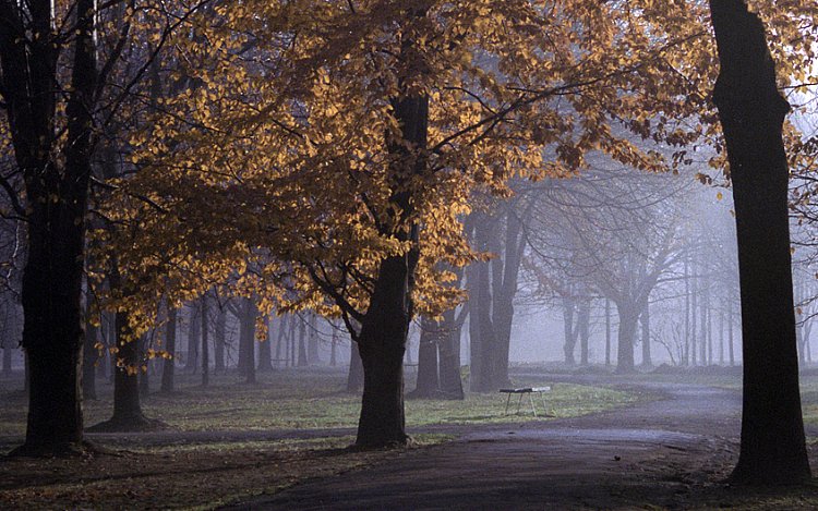 photo "morning" tags: landscape, autumn
