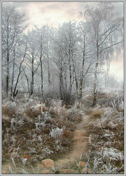 photo "Footpath at winter" tags: landscape, winter