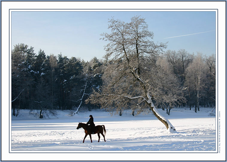 photo "Winter - 2004. Etude2" tags: landscape, forest, winter