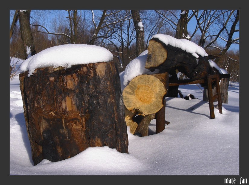 photo "woodcut piece#1" tags: landscape, genre, winter