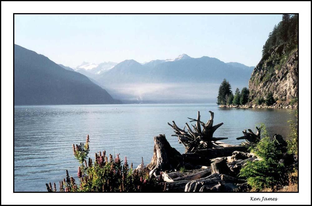 photo "The Stump" tags: travel, North America