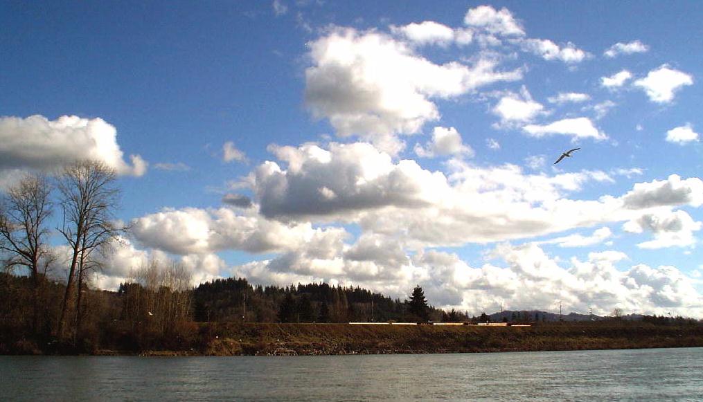 photo "Clouds." tags: landscape, clouds