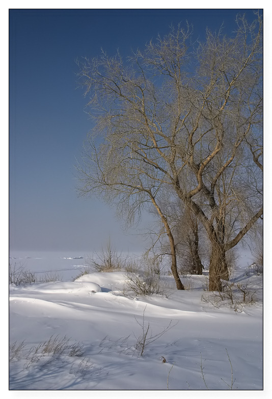 photo "Winter etude" tags: landscape, winter