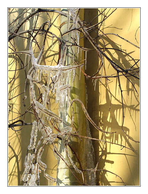 photo "Icicles" tags: architecture, landscape, winter