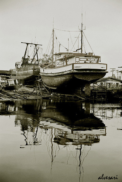 photo "Old reflections" tags: landscape, water