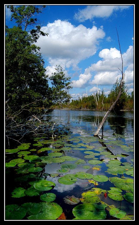 photo "Сheerful vortex" tags: landscape, clouds, water