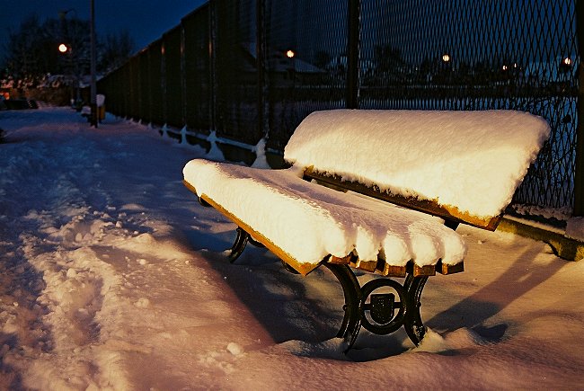 photo "waiting..." tags: landscape, winter