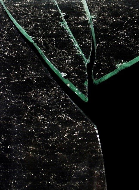 photo "The missing piece" tags: misc., 