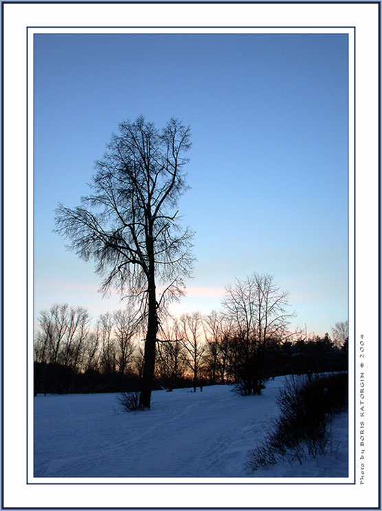 photo "Winter-2004. Etude3" tags: landscape, sunset, winter