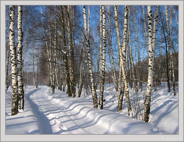 фото "Февраль №1" метки: пейзаж, зима, лес