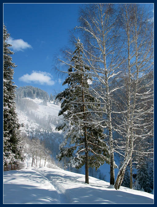 photo "Snow path" tags: misc., landscape, winter