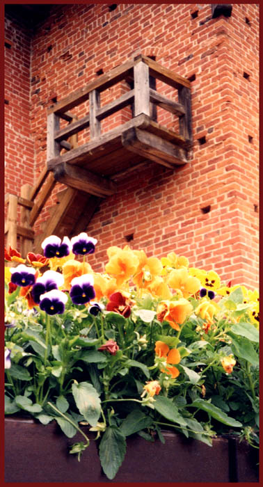 photo "tanding under your window" tags: misc., 