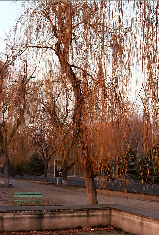 photo "Rusty season..." tags: nature, architecture, landscape, flowers